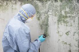 Best HVAC Mold Inspection and Cleaning in Murray, KY